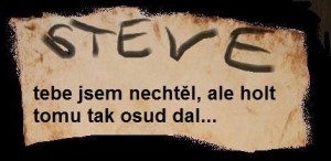 stevie-1.jpg