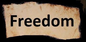 freedom-4.jpg