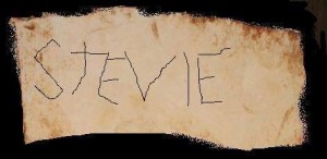stevie-4.jpg